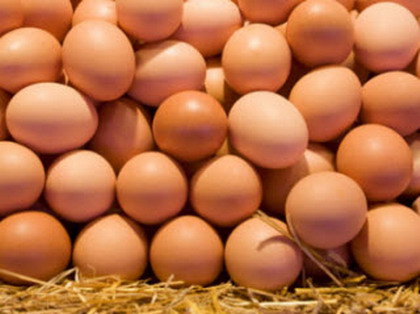 ราคาไข่ไก่เริ่มขยับสูงขึ้นจากความต้องการในตลาด