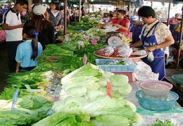 นารีพ่นพิษ ผักแพงกระฉูดเท่าตัว