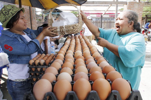 พณ.กำหนดราคาเพดานไข่ไก่3.30 บาท/ฟอง 