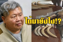 ผลดีเอ็นเอ”งาช้าง”ของ”เปรมชัย”ส่อช้างแอฟริกา เล็งแจ้งอีกข้อหา แถลงพรุ่งนี้