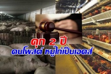 ศาลสั่งจำคุก 2 ปี คนโพสต์ หมูไก่เป็นเอดส์ 