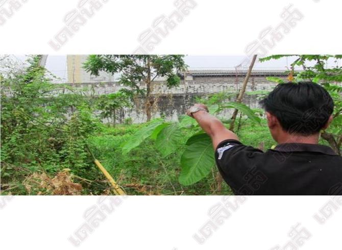 แฉวิธีพิศดารฆ่าแมวคว้านท้องยัดยาบ้า-มือถือ หวังตบตาเจาหน้าที่