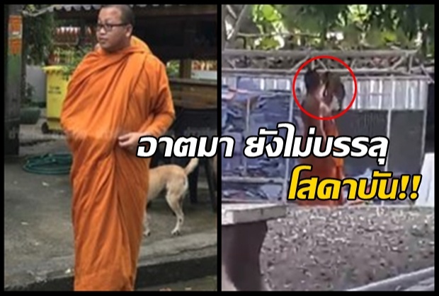 จับพระในคลิปทารุณแมว ฉุนฉี่รดพาวเวอร์แบงก์ ลั่นอาตมายังไม่บรรลุโสดาบัน