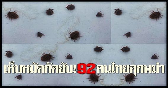 เห็บหมัดกัดยับ!92คนไทยคุกพม่า