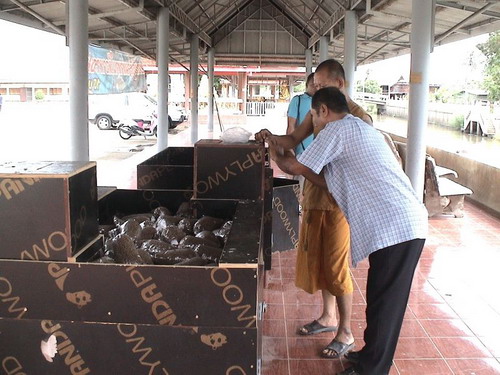 โจรงัดตู้เงินรับบริจาคค่าน้ำค่าไฟและอาหารปลาวัดบ่อทอง เมืองปทุม-รวดเดียว6ตู้