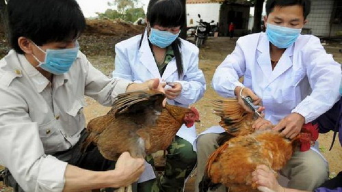 จีนพบผู้เสียชีวิตจากไวรัสไข้หวัดนกสายพันธุ์ H7N9 เพิ่มเป็น 5 ราย 