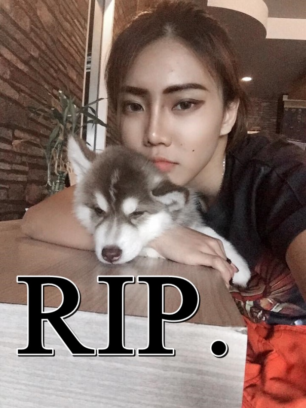 RIP.เพื่อนคนไทย-ต่างชาติแห่โพสต์ไว้อาลัย น้องแจน สาวนร.นอกที่โดนฆ่าที่สารคาม