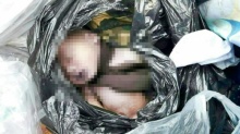 มารหัวขน!!! พบศพทารกถูกทิ้งถังขยะในซอยลาดกระบัง