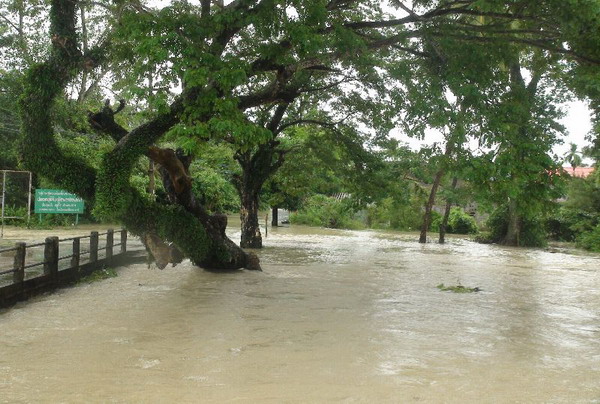 เมืองคอนจมบาดาลหลังฝนถล่มหนัก อพยพวุ่น-ร.ร.สั่งปิด 