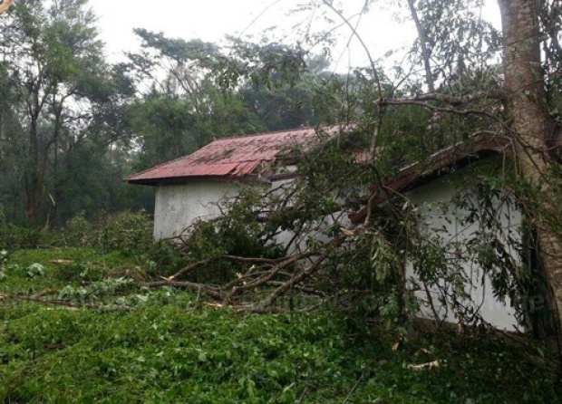 พายุฝนฤดูหนาวถล่มเมืองเชียงราย-เชียงของ