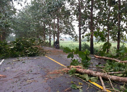 พายุฝนฤดูหนาวถล่มเมืองเชียงราย-เชียงของ