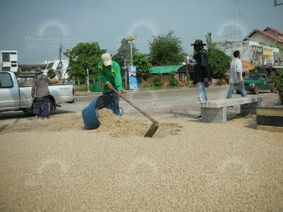 กองทัพ แมงชีปะขาว บุกเล่นไฟรับสงกรานต์