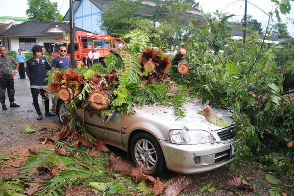 โกลาหลทั้งเมืองตราดหลังเกิดพายุถล่มฉับพลัน-ต้มไม้ทับเด็กสาหัส