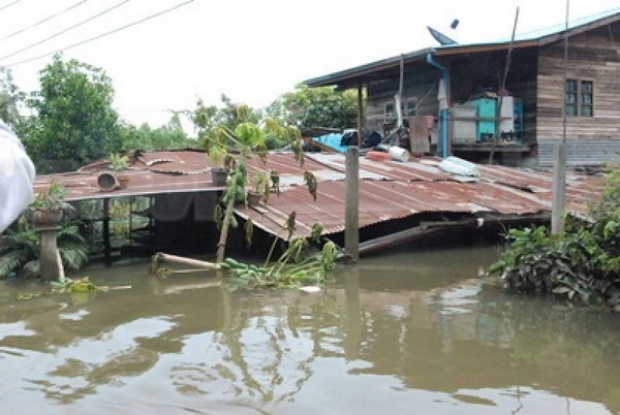 ชาวบ้านผวา!จระเข้โผล่มากับน้ำท่วมไล่กัด-ป้วนเปี้ยนเล้าไก่