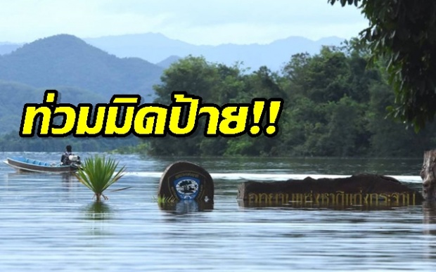 เผยภาพน้ำท่วม ‘อุทยานฯแก่งกระจาน’ ถนนถูกตัดขาดรถผ่านไม่ได้