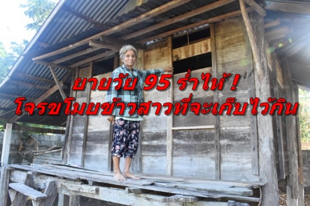 ยายวัย 95 ร่ำไห้ !!  ถูกโจรขโมยข้าวที่จะเก็บไว้กิน