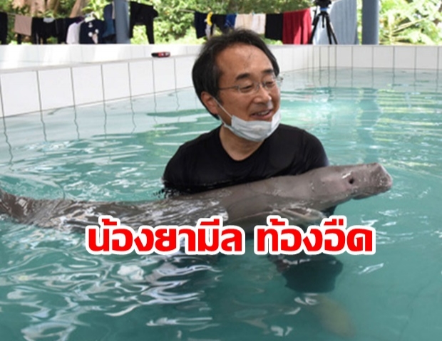 สัตวแพทย์ ตรวจพบ น้องยามีล ท้องอืด ต้องดูแลอย่างใกล้ชิด