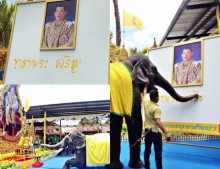 พังน้องหยก ให้งวงฟาดพู่กันเขียน “ทรงพระเจริญ” หน้าพระบรมฉายาลักษณ์ 