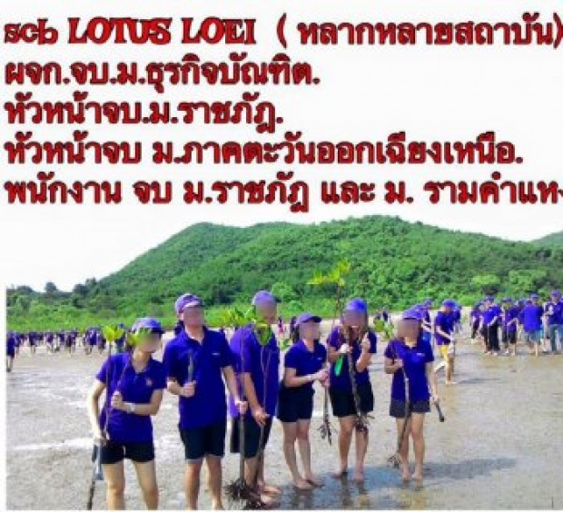เคลียร์นะ!? พนง. #ทีมไทยพาณิชย์ แห่โพสต์ภาพพร้อมชื่อสถาบันสยบดราม่า 