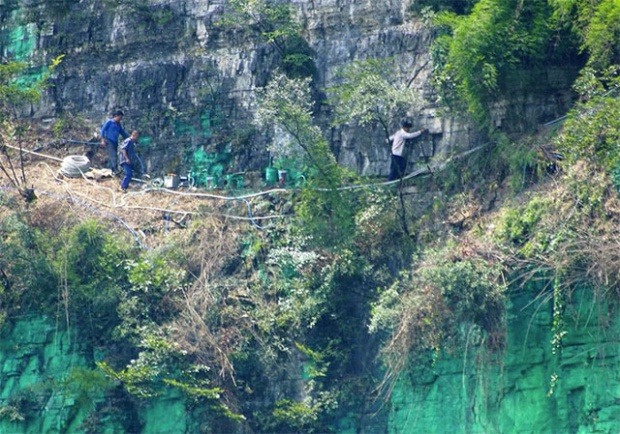 มีงี้ด้วย!!! หนุ่มจีนปีนเขาสูง 900 เมตร ทาสีเขียวทั่วหน้าผา อ้างเปลี่ยนฮวงจุ้ย!?