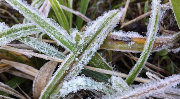 หนาวสุดในรอบปี! เชียงใหม่อุณหภูมิติดลบ แห่ขึ้นดอยสัมผัสหนาว!