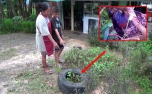 สาวใหญ่ กำลังถางหญ้าดีๆ สายตาเหลือบเห็นสีม่วงๆ คิดว่าเปลือกมังคุด หยิบขึ้นมาดูชัดๆ แทบผงะ!!