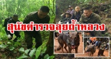 สุนัขตำรวจมาแล้ว!! ผบ.ตร.จักรทิพย์ สวมชุดสนาม เดินลุยป่า สำรวจทุกโพรงถ้ำ ช่วย 13 ชีวิต
