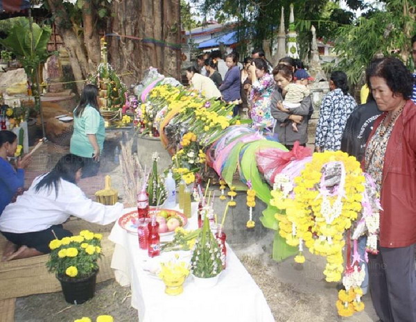 นครพนมขุดพบอีกตะเคียนยักษ์อายุกว่าพันปี