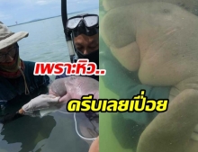 ห่วงพะยูนน้อย มาเรียม ดูดครีบจนเปื่อย เพราะหิวนม