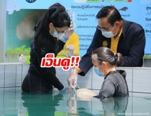 บิ๊กตู่ ป้อนนมลูกพะยูน ยามีล ระหว่างตรวจราชการที่ภูเก็ต