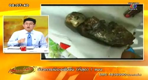 ไปกันใหญ่!? ชาวบ้านเชื่อ ไส้กรอกแมว คือเทพวานรมาจุติ