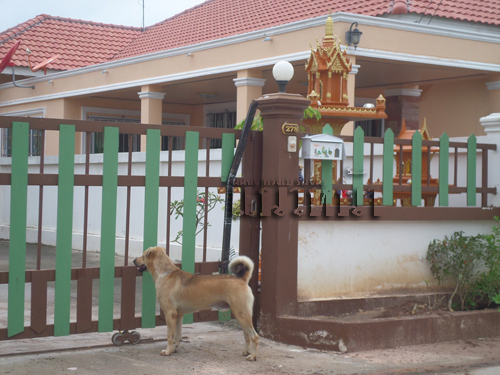 ชาวบ้านสุดทึ่ง!!สุนัขไทยแสนรู้ กดออดเรียกเจ้านายเปิดประตูรั้ว