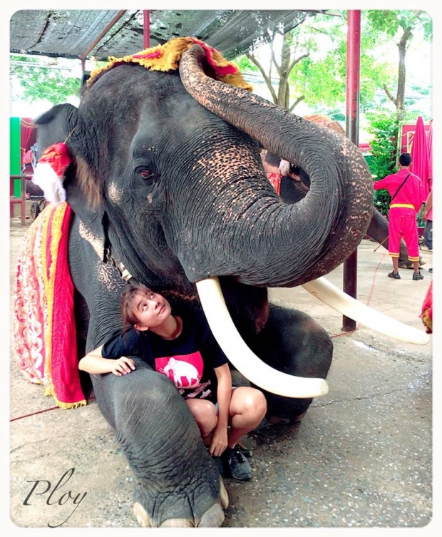 ฮือฮามาก ย้อนดูงานวิวาห์ หมอพลอย ควาญช้างหญิงสวมชุดเจ้าสาวขี่หลังช้างสุดอลังการ