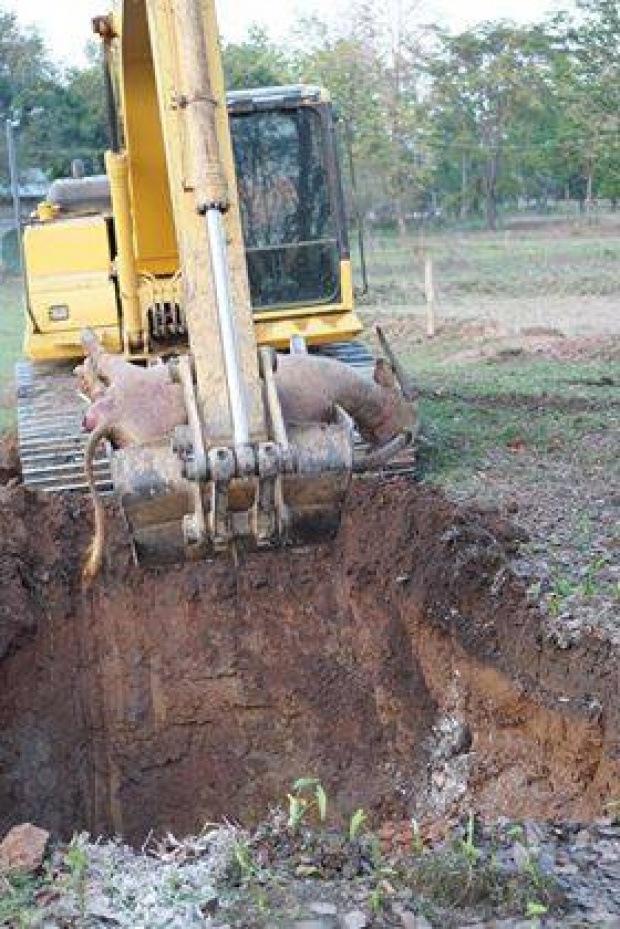 พิษสุนัขบ้าระบาดหนัก ทำควายคลุ้มคลั่ง ก่อนตายฝากเสียงหอนไว้เหมือนหมา!