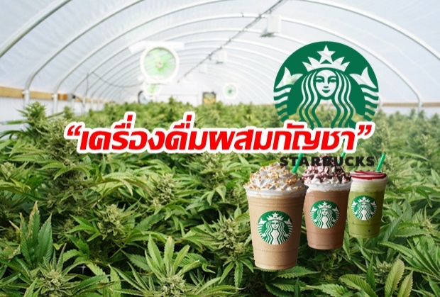 เจ้าแรก! สตาร์บัคส์ ตัวเต็งเปิดตลาดรายแรก “เครื่องดื่มผสมกัญชา”