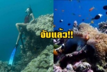โดนจับแล้ว นักท่องเที่ยวโพสท่านั่งทับบนปะการัง อ้างรู้เท่าไม่ถึงการณ์