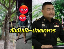 ทภ.3 สั่งจับขัง - ปลด ทหารยิงแมวดาวถลกหนัง พ้นราชการทันที