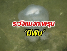 ห้ามลง “เล่นน้ำทะเล” ช่วงมรสุม  “ระวังแมงกะพรุนมีพิษ”