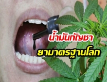 อภ.เดินหน้าปลูกกัญชาทำยามาตรฐานโลก