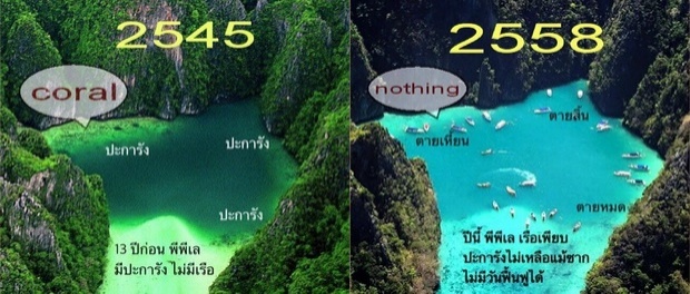 เปรียบเทียบแนวปะการังเกาะพีพีเล ในช่วง 13 ปี ถูกขยี้ไม่เหลือซาก