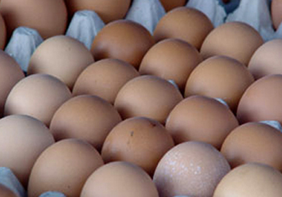 ผู้ค้าไม่เห็นด้วยหากรัฐบาลจะขึ้นราคาไข่ไก่ 