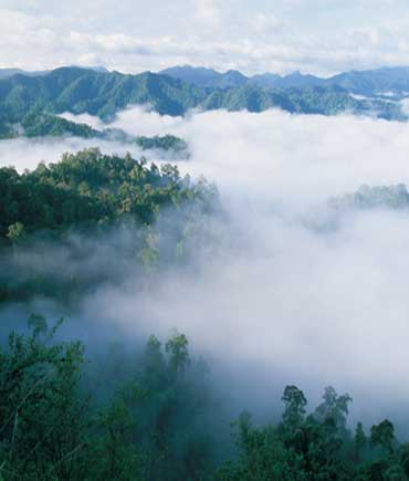 เหนือ-อีสาน-กลาง-ตะวันออกอากาศยังเย็น ใต้ฝนกระจาย