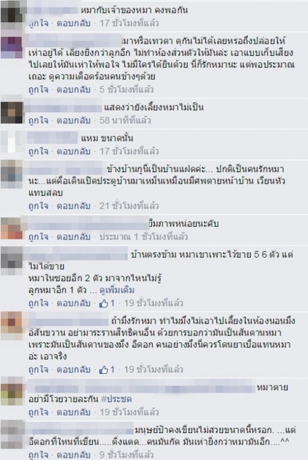 เจ้าของหมาของขึ้น! เขียนป้ายด่าคนที่รำคาญหมาตนเอง