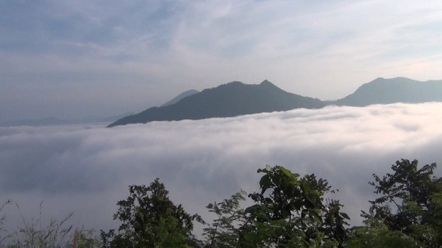 ยอดภูหลวง’ หนาว 5 องศาฯ นทท.แห่ชมทะเลหมอกเชียงคาน