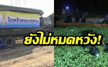 ในหลวง ร.10 โปรดเกล้าฯ ตั้งครัวพระราชทาน ช่วยทีมเจ้าหน้าที่ค้นหา เด็กหายในไร่อ้อย