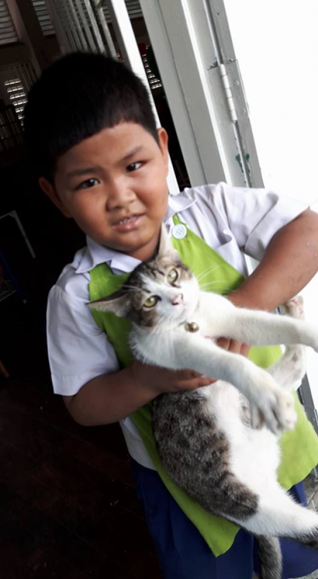 น่ารักเชียว!! เด็กอนุบาลแอบเอาแมวใส่กระเป๋ามาโรงเรียนด้วย