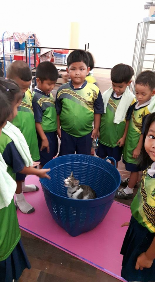น่ารักเชียว!! เด็กอนุบาลแอบเอาแมวใส่กระเป๋ามาโรงเรียนด้วย