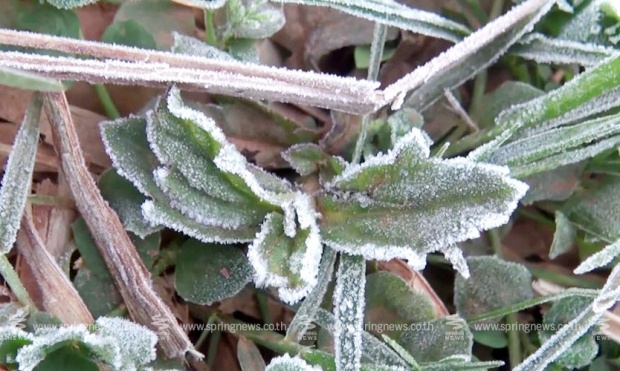 หนาวจัด! ภูหินร่องกล้า จ.พิษณุโลก เกิด “เหมยขาบ”