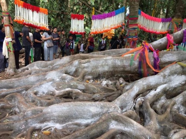 โค้งสุดท้าย แห่ขอโชค‘ปู่ศรีสุทโธ’ล้นเกาะ‘คำชะโนด’