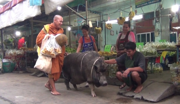 ฮือฮาทั้งตลาด!! หลวงพ่อวัดดังเดินบิณฑบาต เหมือนไม่มีอะไร ก่อนหันไปเจอลูกศิษย์? (มีคลิป)